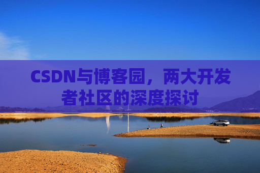 CSDN与博客园，两大开发者社区的深度探讨